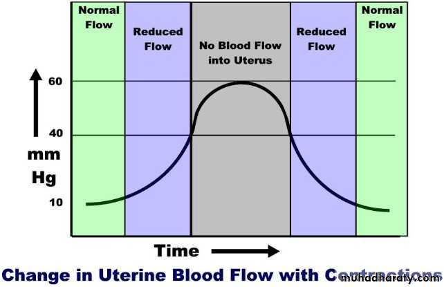 Change in uterine blood flow with contractions