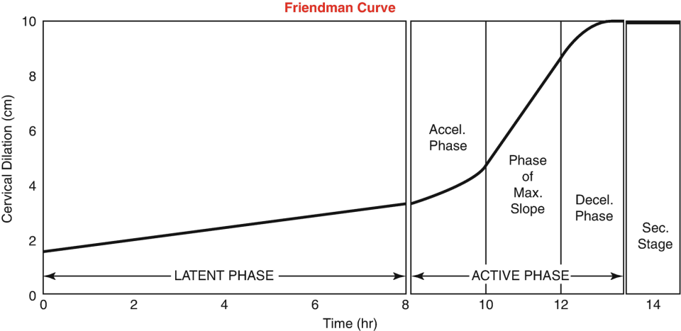 Friedman's curve