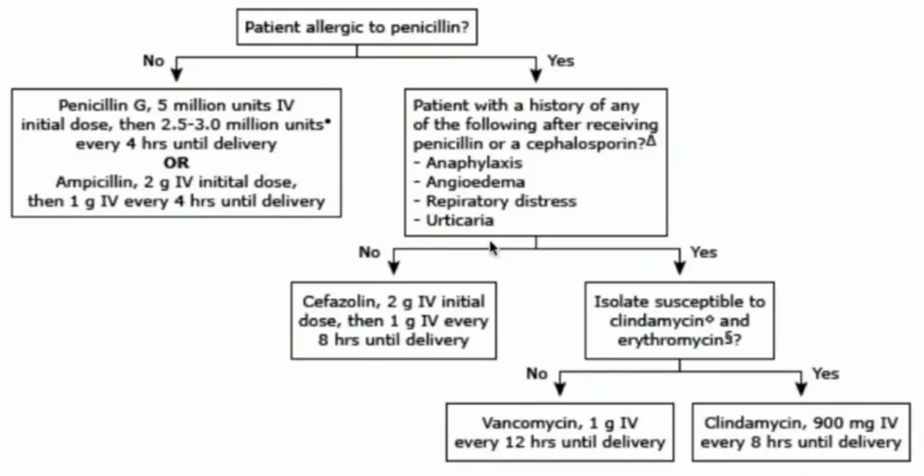 Intrapartum prophylaxis algorithm for mothers with positive screen or unknown GBS status