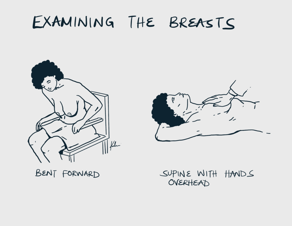 Examining the breasts 2