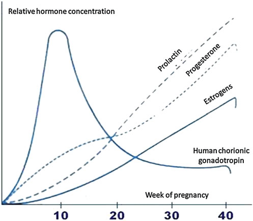 Hormonal changes during pregnancy