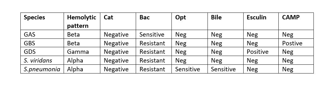 Streptococcal biochemical tests