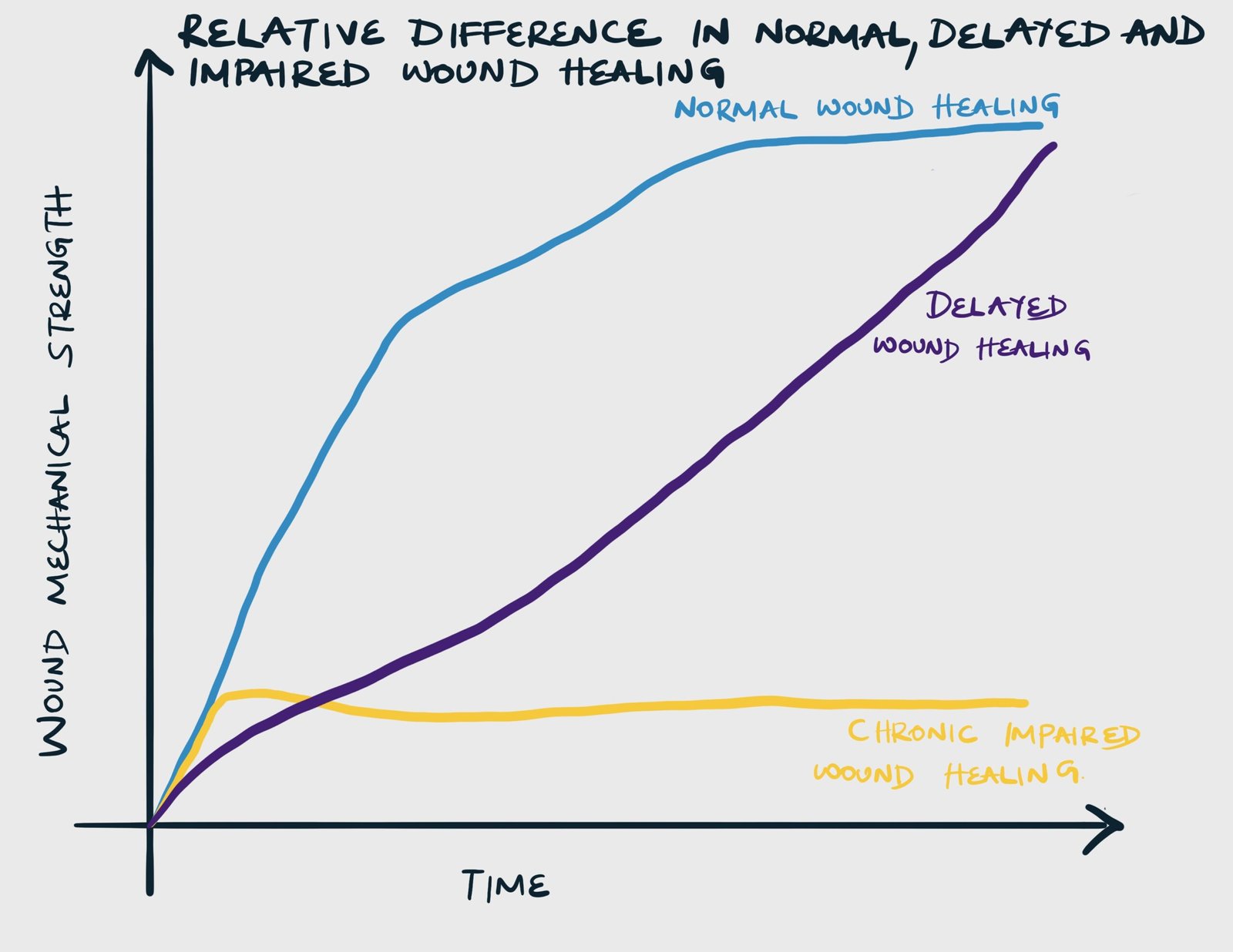 Relative difference in normal, delayed, and impaired wound healing