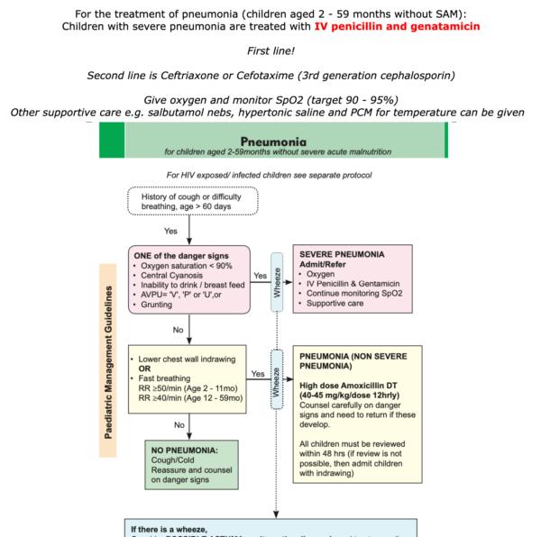 Basic Paediatric Guidelines Flashcards - Anki Deck